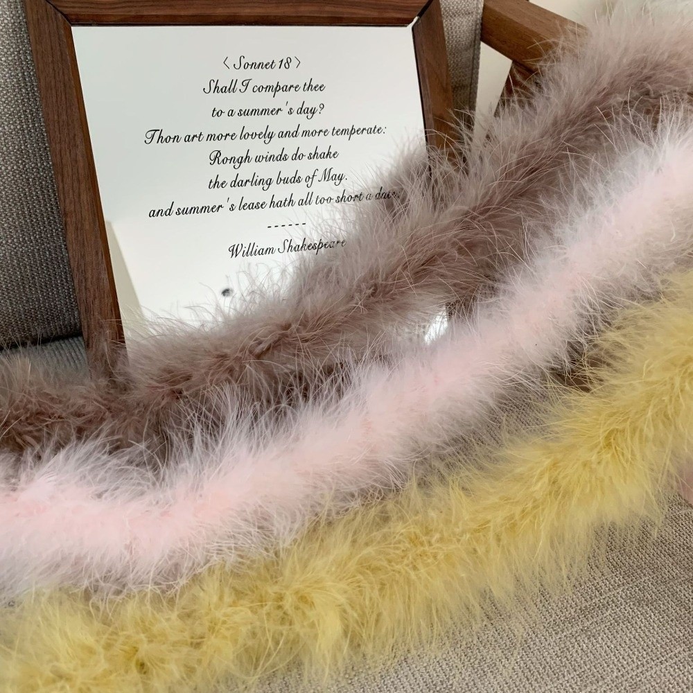 2 Meter Marabou Feather Boa Fa - مراجعة Feather Trim Marabou وسعره