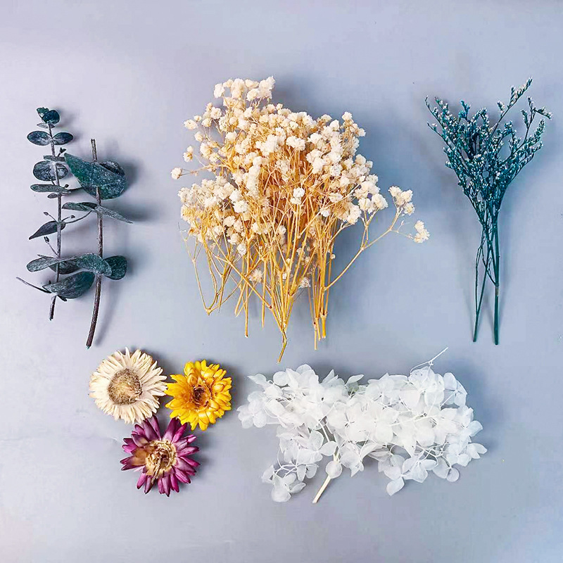 1pack Multifarious Dried Flowe - مراجعة Craft Embellishment وسعره